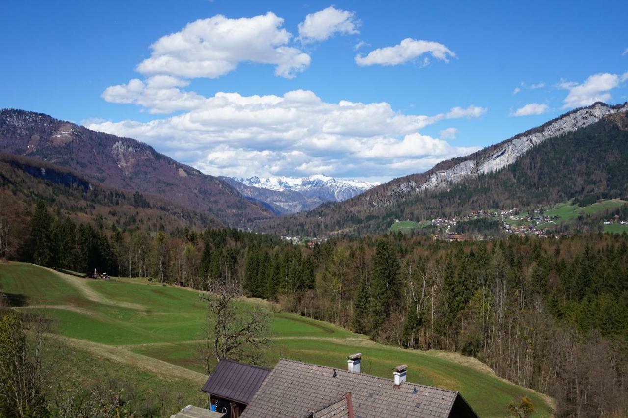 Apartments Helga Bad Goisern Luaran gambar